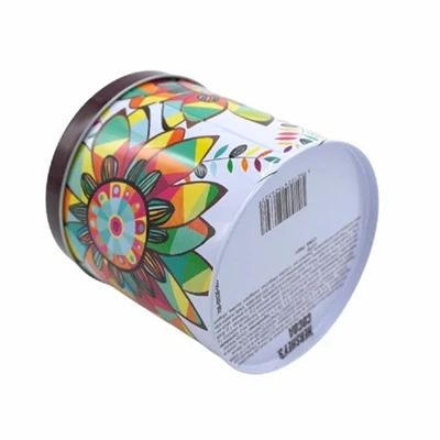 What are the structural classifications of iron cans?