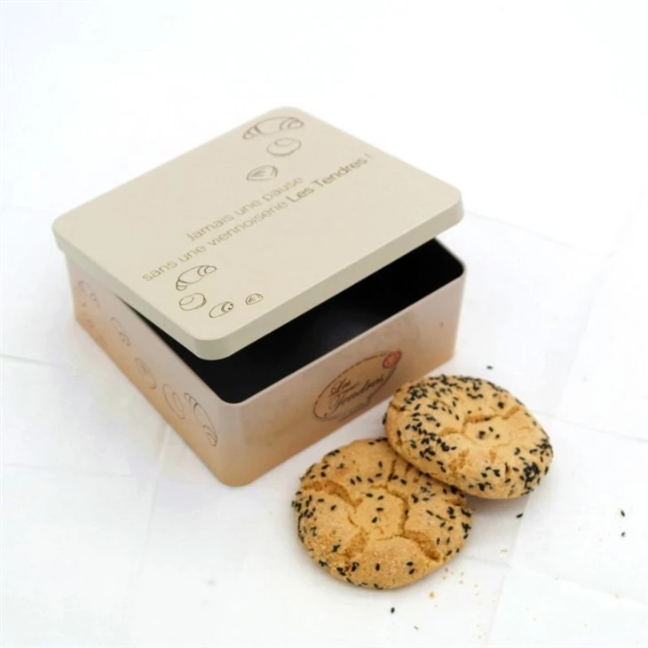Color Cosmetics Iron Box Color Cosmetics Iron Box